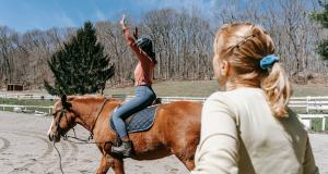 Chevaux thérapeutes : une approche sensible et puissante du soin