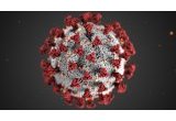 Coronavirus : l'inquiétude des travailleurs de Fedasil